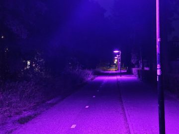 20250615 232946