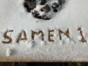 AIR_202203_Sneeuw
