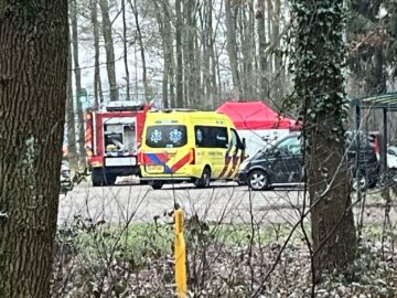 a1 onderzoek fo
