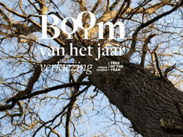 air 20230522 boom van het jaar rob huibers