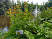 air 20230622 wilde floraroute ivn berg en bos. yvonne zwikker