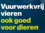 air 20231129 vuurwerk gemeente apeldoorn