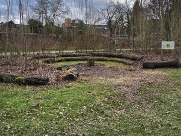air 20240228 tiny forest 01 buitengewoon apeldoorn