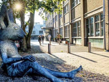 Nieuwe Nota Dierenwelzijn nu ter inzage