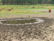 air 20240430 verdroging natuur natuurmonumenten
