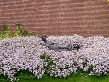 air 20240915 groenewandelingivn