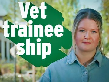 air 20250527 traineeship gemeente gemeente apeldoorn