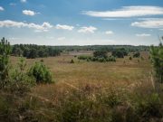 air 20250617 natuur veluwe serge poppelaars