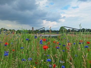 air 20250628 vitens nieuwe waterwinning apeldoorn noord