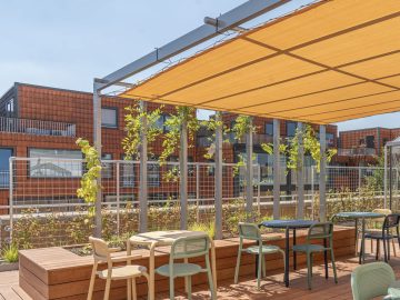 air_20250807_coda-daktuin_01_coda