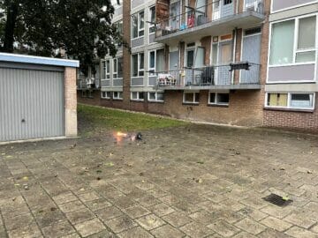 airfryer spreeuwenweg