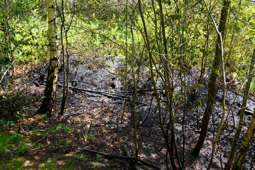 dsc06094