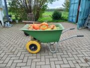 herfst oogtfeest