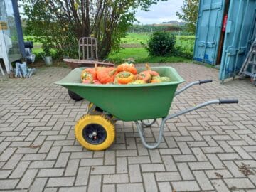 herfst oogtfeest