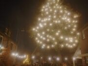 kerstboom van roekelweg