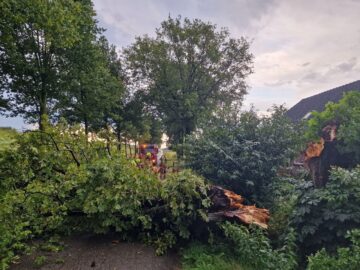 stormschade kuipersdijk
