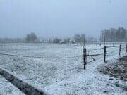 winter 10 maart